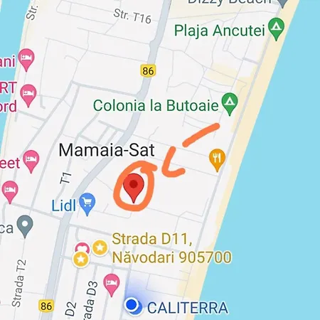 Ana * Navodari